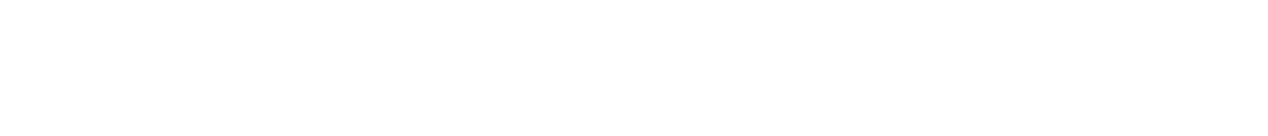 THE SUBSTRATE